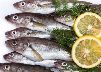 Nisan ayında hangi balıklar yenir? Nisan ayı balıkları hangileri?