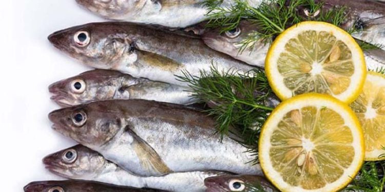 Nisan ayında hangi balıklar yenir? Nisan ayı balıkları hangileri?