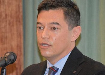 Marmaris’i fare bastı! Başkan suçu kediye attı