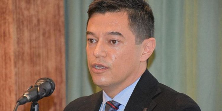 Marmaris’i fare bastı! Başkan suçu kediye attı