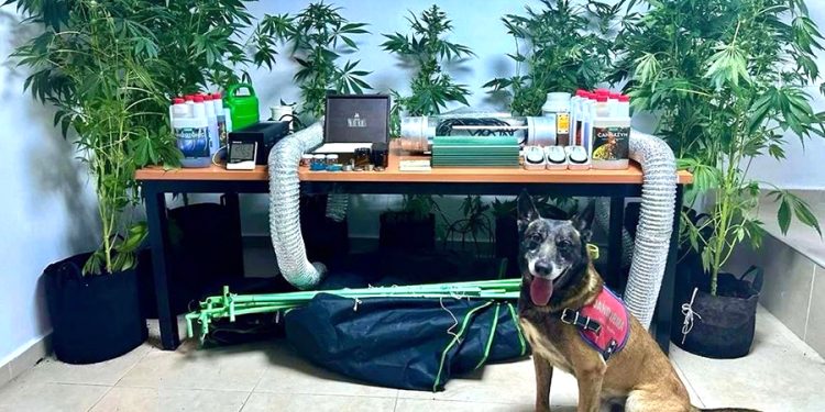 Öğretmenin evinden çıkan uyuşturucu şoke etti