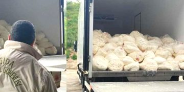 23 ton tarihi geçmiş olarak ele geçirildi: Yakalanmasalar hepsini bize yedireceklerdi!