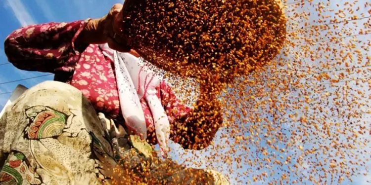 İnek sütünden 10 kat daha faydalı