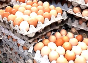 Marketlerde kahverengi yumurta satışı yasaklanıyor: Nedeni sağlıksız olmaları değil