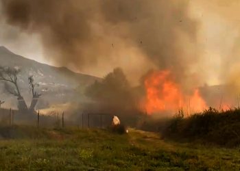 Seydikemer’de Zirai Arazi ve Orman Yangını: 40 Dönüm Alan Kül Oldu