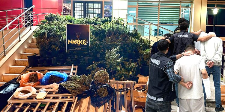 Muğla’da Uyuşturucu Operasyonu: Kilo Kilo Esrar, Yüzlerce Kenevir