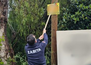 Belediyeden Görüntü Kirliliğine Müdahale