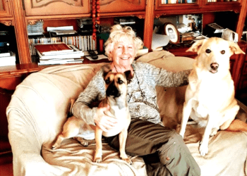 SON DAKİKA.. AYM’den ‘Hayvanları Koruma Kanunu’na ilişkin karar!