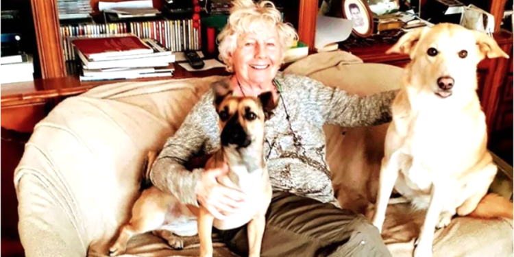 SON DAKİKA.. AYM’den ‘Hayvanları Koruma Kanunu’na ilişkin karar!