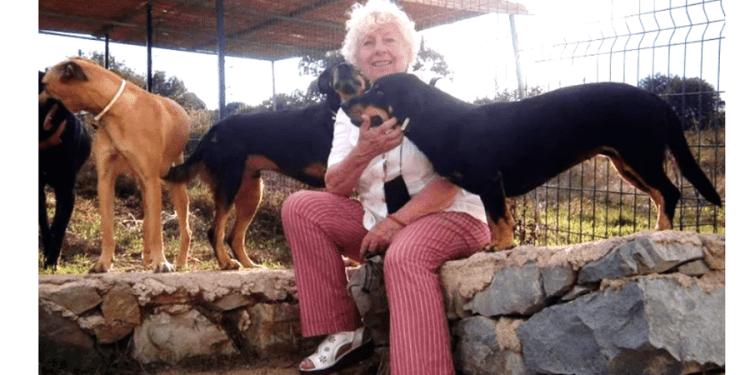 Muğla valiliğinden Bodrum Belediyesi’ne 100 milyon TL’lik sokak hayvanları cezası