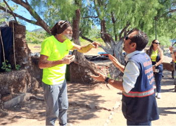 Cennet Adaboğazı koyunu işgal etti