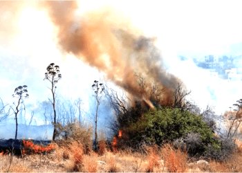 Lodos fırtınası yangınlar çıkardı, tekneleri karaya sürükledi