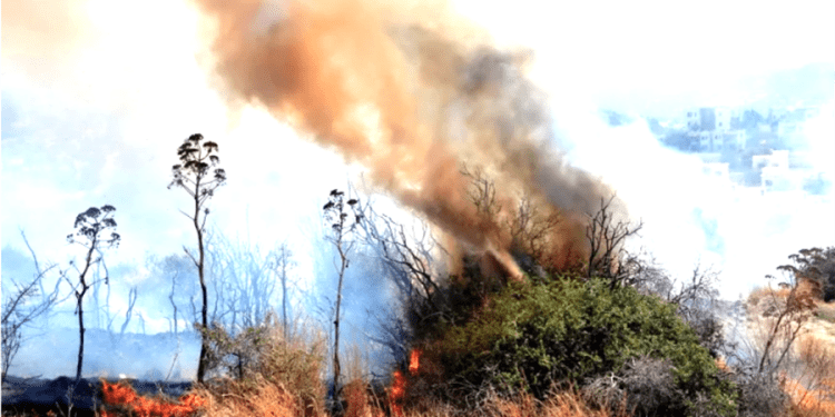 Lodos fırtınası yangınlar çıkardı, tekneleri karaya sürükledi