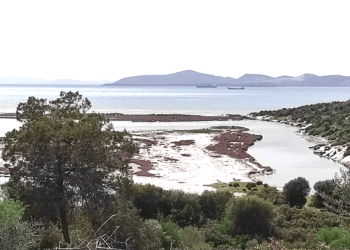 GÜLLÜK DELTASI VE SULAK ALANINDA YAPILMASI PLANLANAN MARİNA VE ÇEKEK YERİNE YARGIDAN FREN