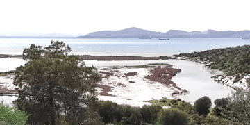 GÜLLÜK DELTASI VE SULAK ALANINDA YAPILMASI PLANLANAN MARİNA VE ÇEKEK YERİNE YARGIDAN FREN