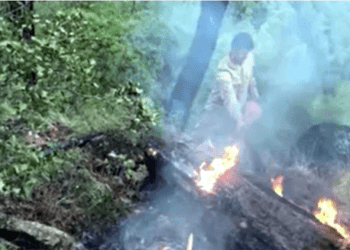 Bodrum’da orman yangını, düşen yıldırım ormanı yaktı