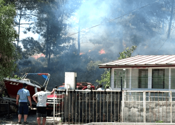 Marmaris’te orman yangını başladı