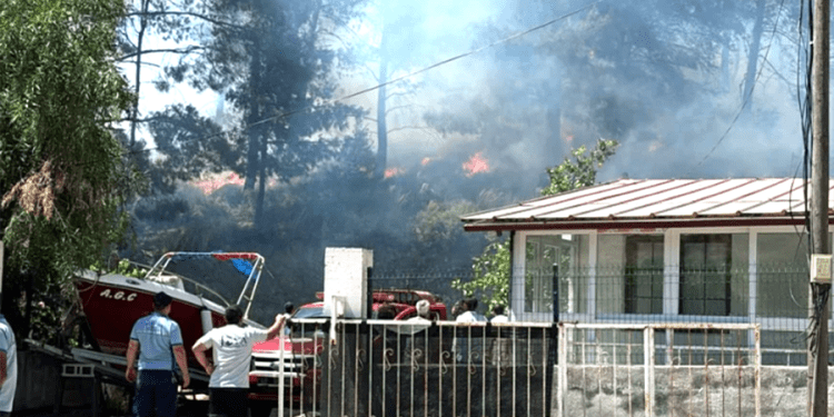 Marmaris’te orman yangını başladı