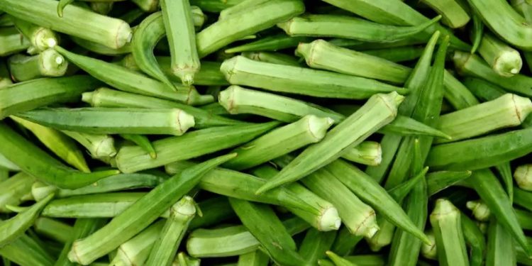 Mayıs ayında ekilen bu sebze, kavurucu yaz sıcağına meydan okuyor!