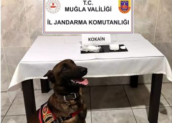 Muğla’da yolcu otobüsünde 290 gram kokain yakalandı