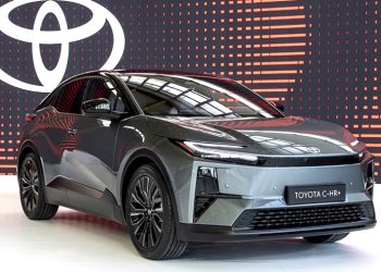 Japon devine Türk duvarı