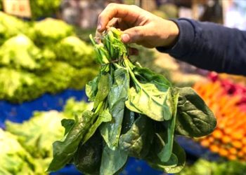 Ispanak yerken bir kez daha düşünün