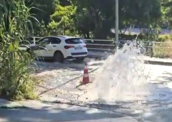 Bodrum’un bitmek bilmeyen çilesi