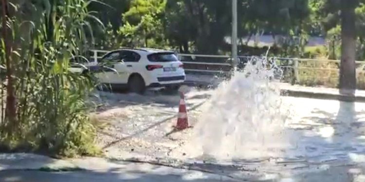 Bodrum’un bitmek bilmeyen çilesi