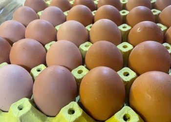 Okuyunca Şaşıracaksınız! Meğer Sanayide Altın Değerindeymiş