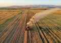 2 Yıl Üst Üste İşlenmeyen Tarım Arazileri Kiraya Verilecek