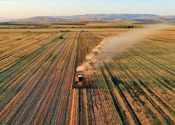 2 Yıl Üst Üste İşlenmeyen Tarım Arazileri Kiraya Verilecek