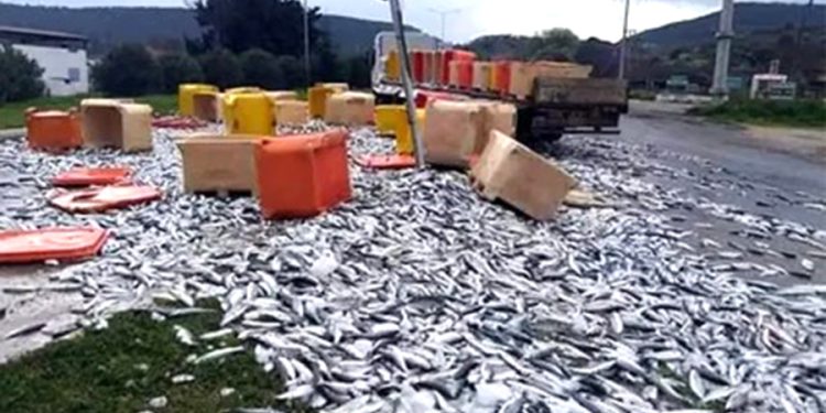 Marmaris’te Şok Eden Ölüm