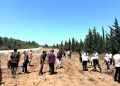 Anneler gününde AK Partiden Fidan Dikim Etkinliği