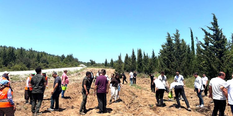 Anneler gününde AK Partiden Fidan Dikim Etkinliği