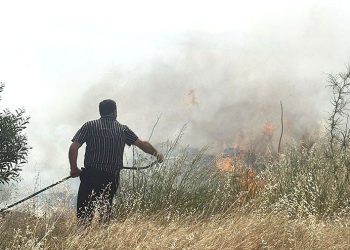 Bodrum’da peş peşe yangınlar