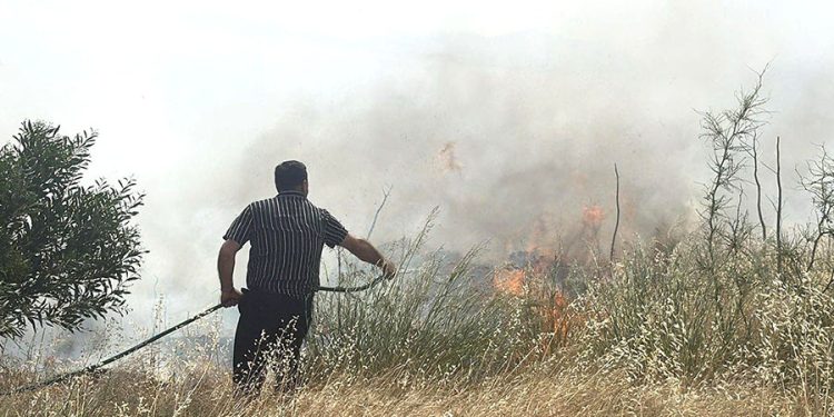 Bodrum’da peş peşe yangınlar