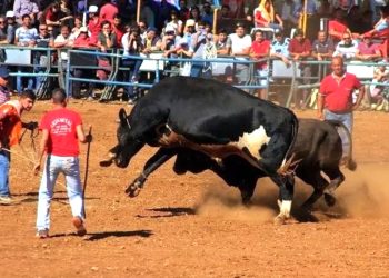 Bodrum’da peş peşe yangınlar