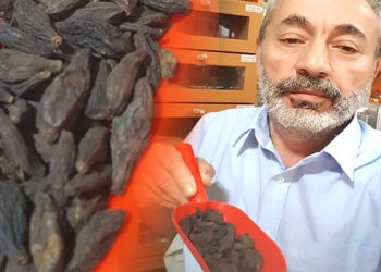 Kara halilenin doğru kullanımı: Kara halile nedir, faydaları neler, nasıl kullanılır?