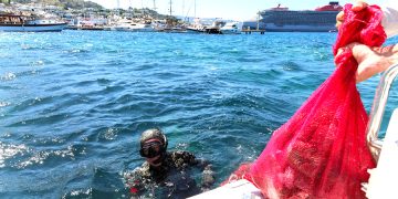 Geleneksel Deniz Dibi Temizliği Başladı