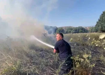 Bodrum’da otluk alandaki yangın kontrol altına alındı