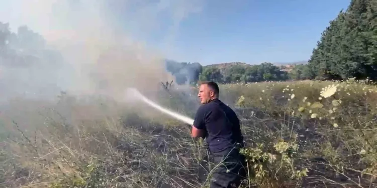 Bodrum’da otluk alandaki yangın kontrol altına alındı