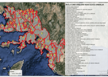 DİKKAT ORMANLARA GİRİŞLER YASAKLANDI. LİSTE AÇIKLANDI
