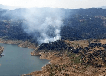 Muğla ve Aydın’da orman yangınları başladı