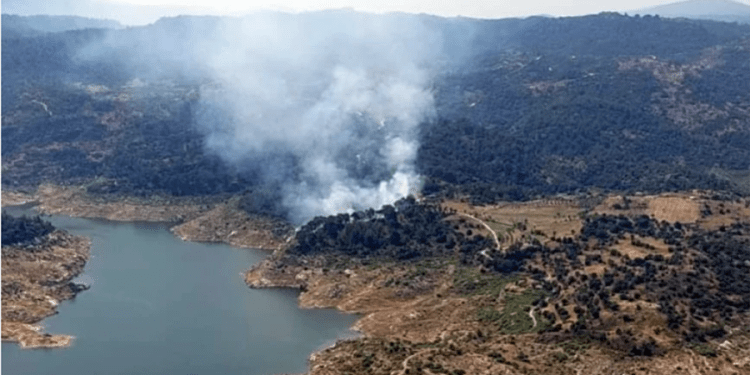 Muğla ve Aydın’da orman yangınları başladı