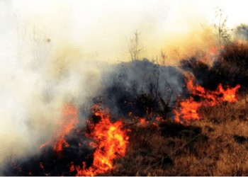 Bodrum’da makilik yangını evlere yaklaştı