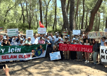 Yarın Akbelen’de “Zeytin yasasına tepki buluşması” var