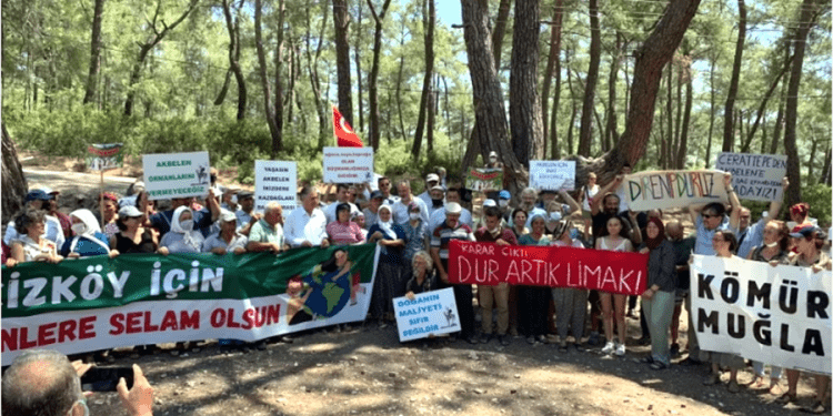 Yarın Akbelen’de “Zeytin yasasına tepki buluşması” var
