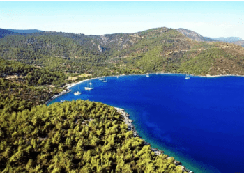 Ormanların deniz kısımları özel mülkiyete tahsis edilebilecek