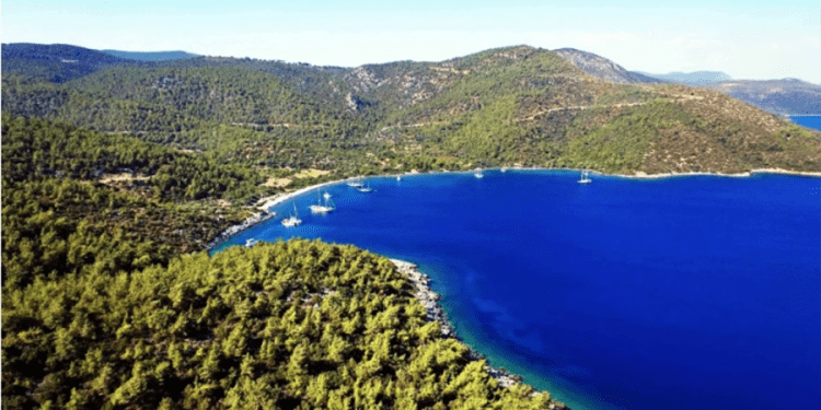 Ormanların deniz kısımları özel mülkiyete tahsis edilebilecek