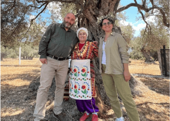 Prof. Aktürk: Türkiye Zeytinliklerini Kaybetme Riskiyle Karşı Karşıya 15 milyon zeytin ağacı tehlike altında